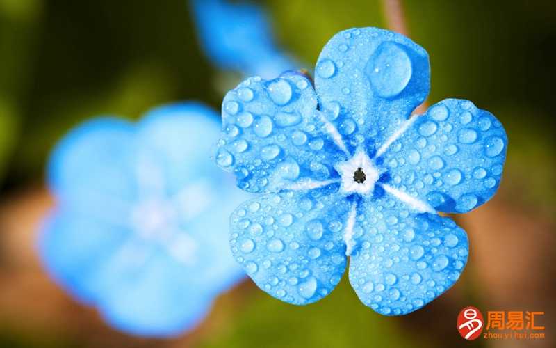 梦见下雨发大水