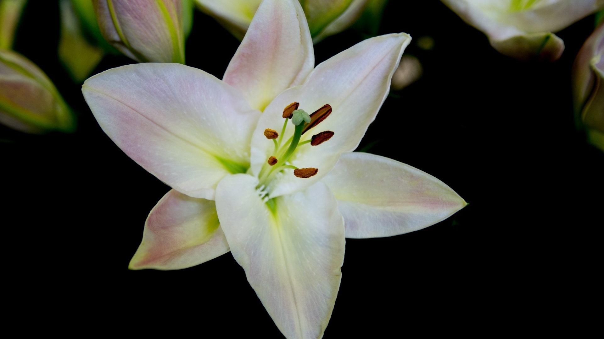 梦见穿着花棉袄